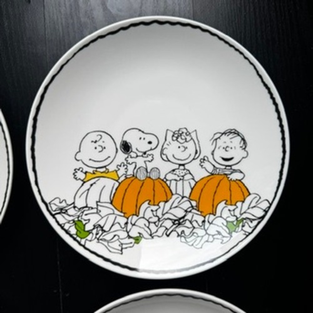 Pottery Barn Peanuts Halloween Plates - Set of 4 - Charlie Brown Snoopy - Picture 3 of 7